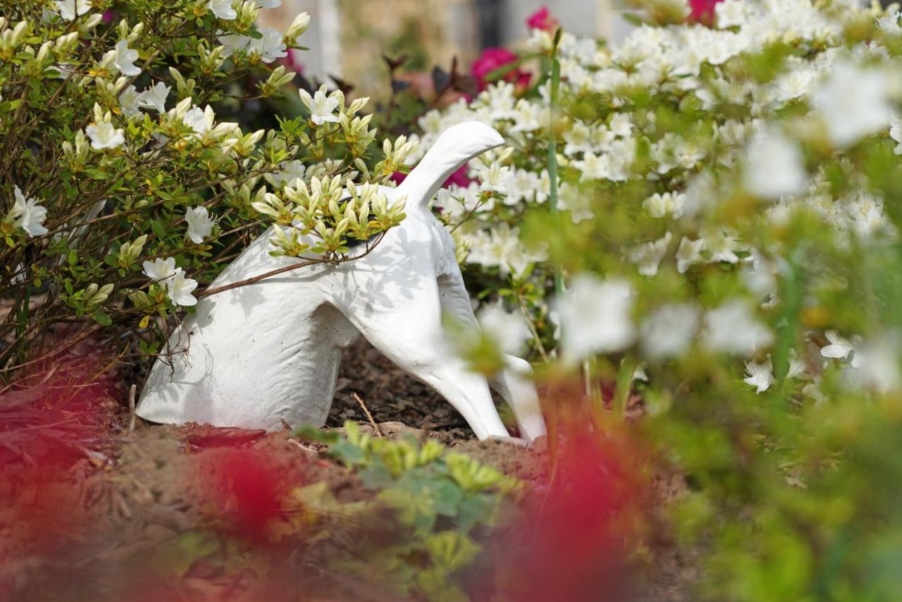 Gite Du Jardin ธูส์ ภายนอก รูปภาพ