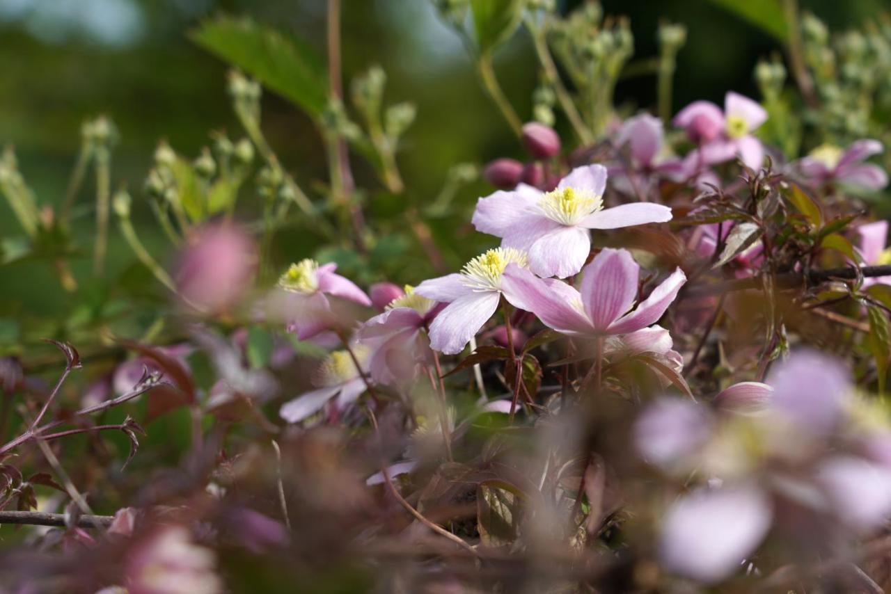 Gite Du Jardin ธูส์ ภายนอก รูปภาพ